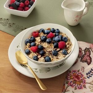 2pc Aralia Cereal Bowl Hand Painted Stoneware Green Floral NWT